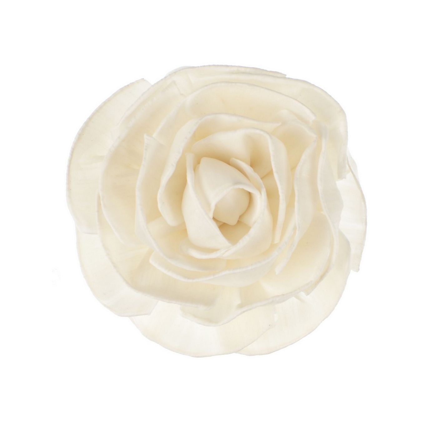 Fleur de Goatier "Rosea"