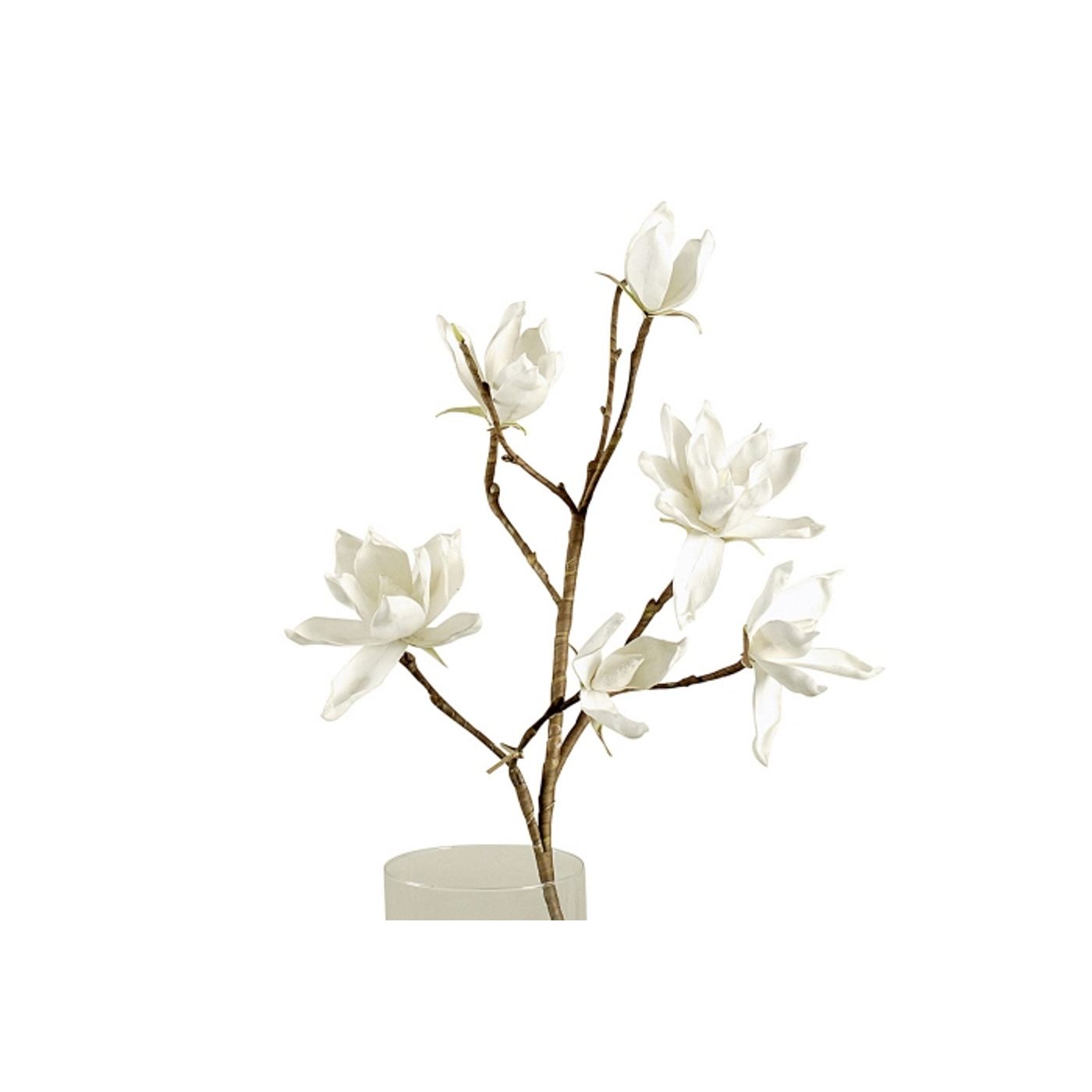 Magnolia Blanc 105 cm - Ambiance & Styles