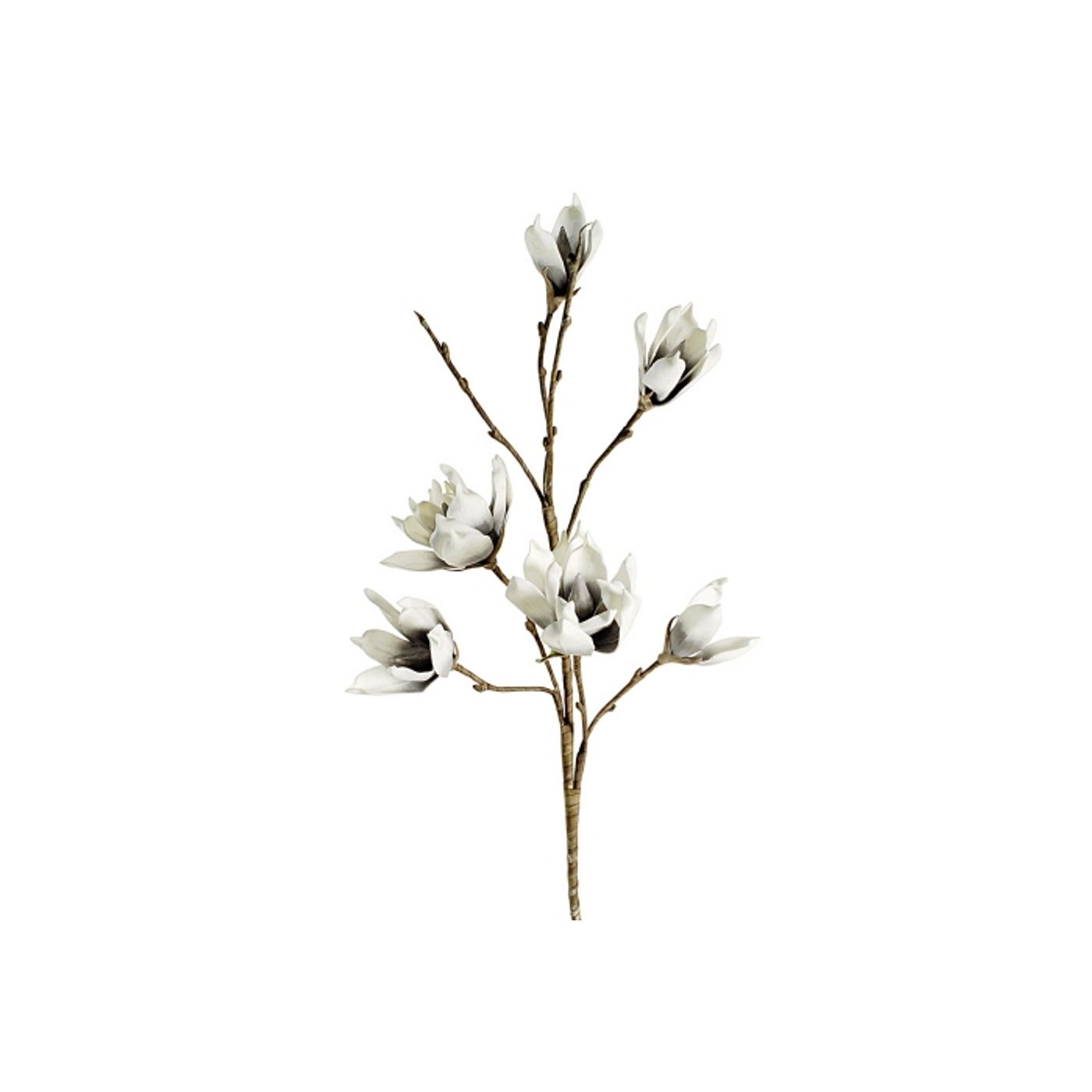Magnolia Gris 105 cm