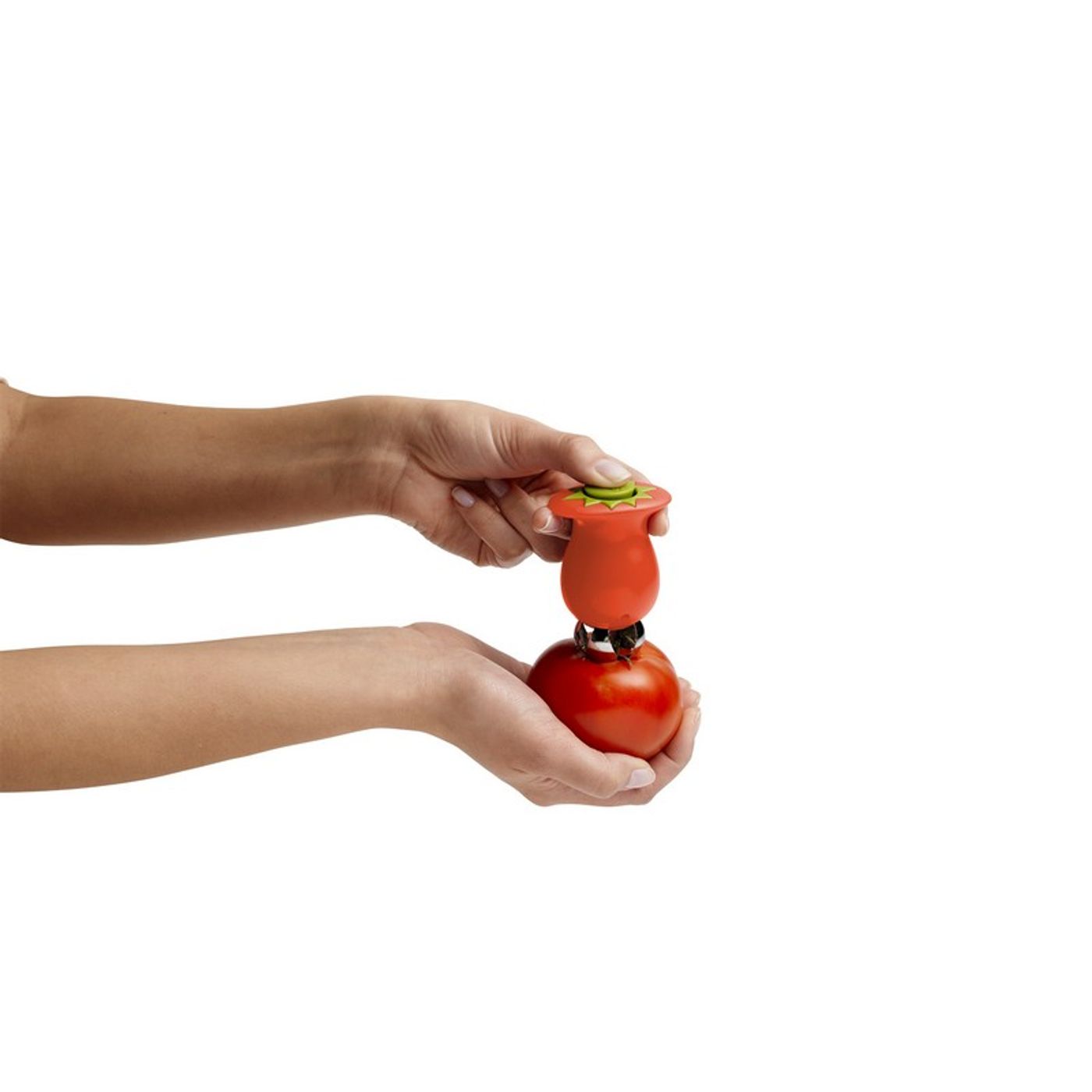 Equeuteur à tomates