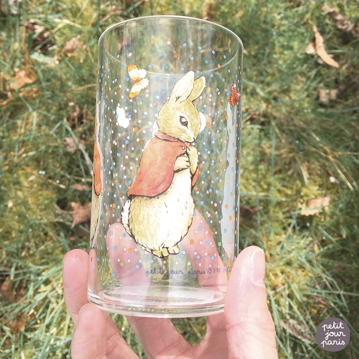Verre Pierre Lapin