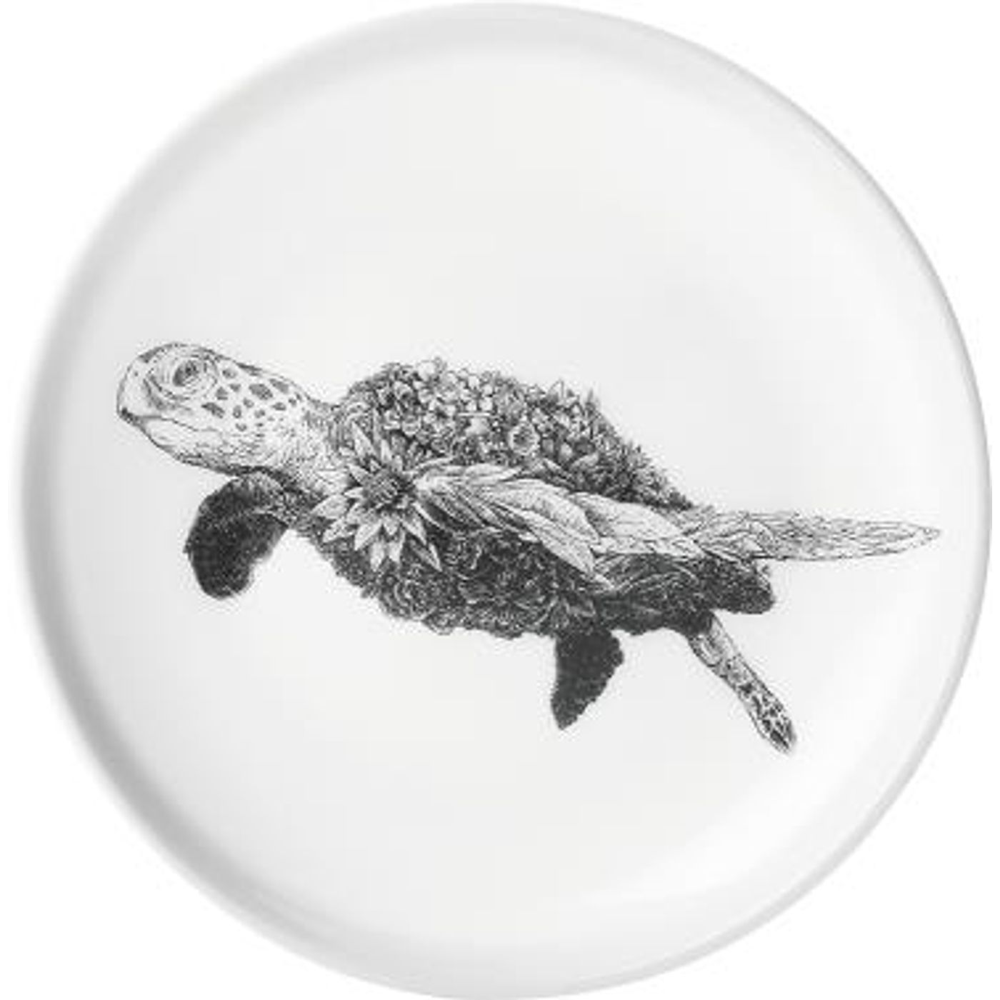 Assiette Marini Ferlazzo Tortue 20 cm