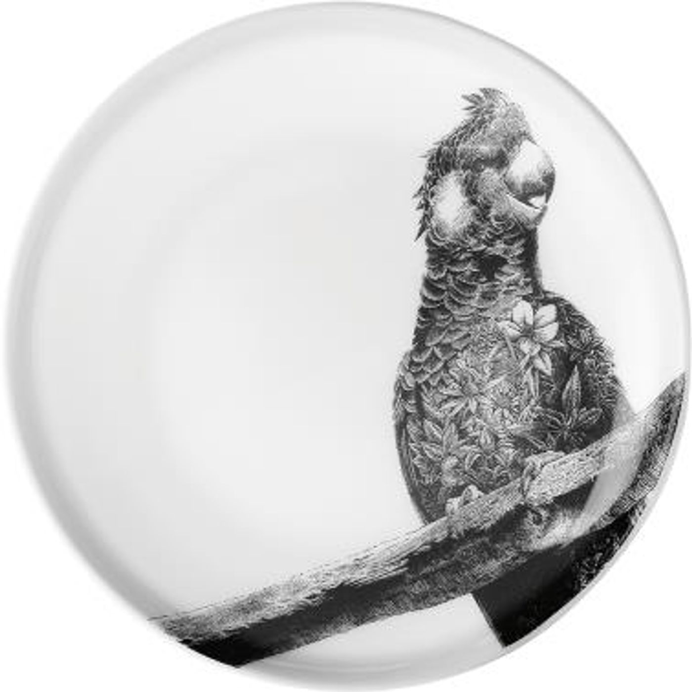 Assiette Marini Ferlazzo Perroquet 20 cm