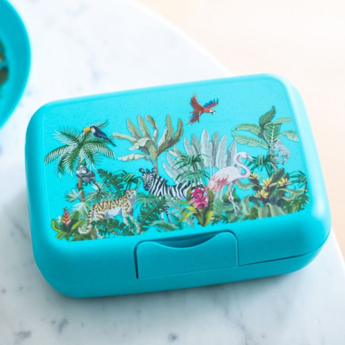 Lunchbox Candy L jungle