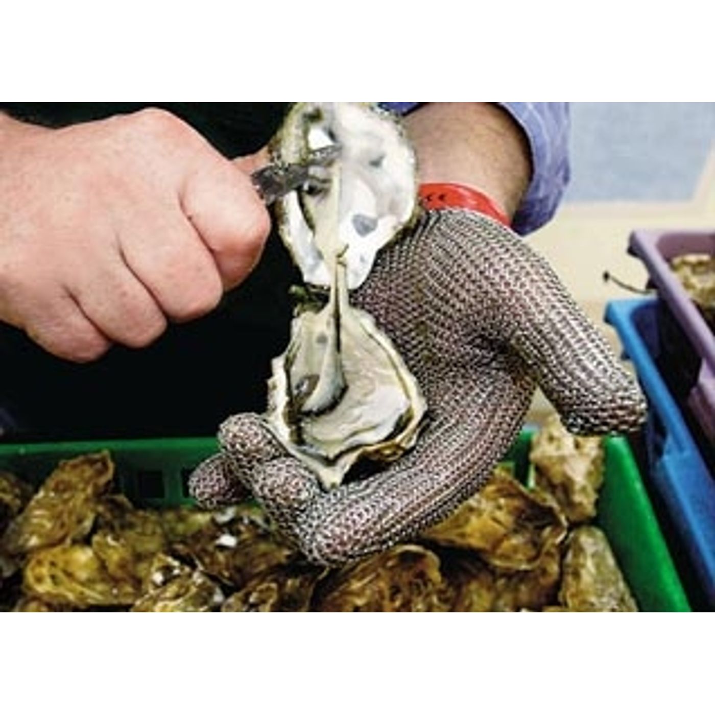 Gant cotte de maille MANULATEX