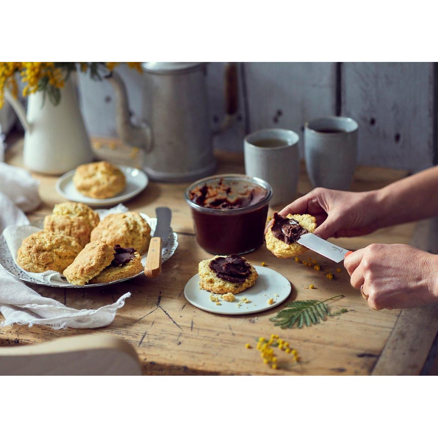 Couteau petit-déjeuner naturel