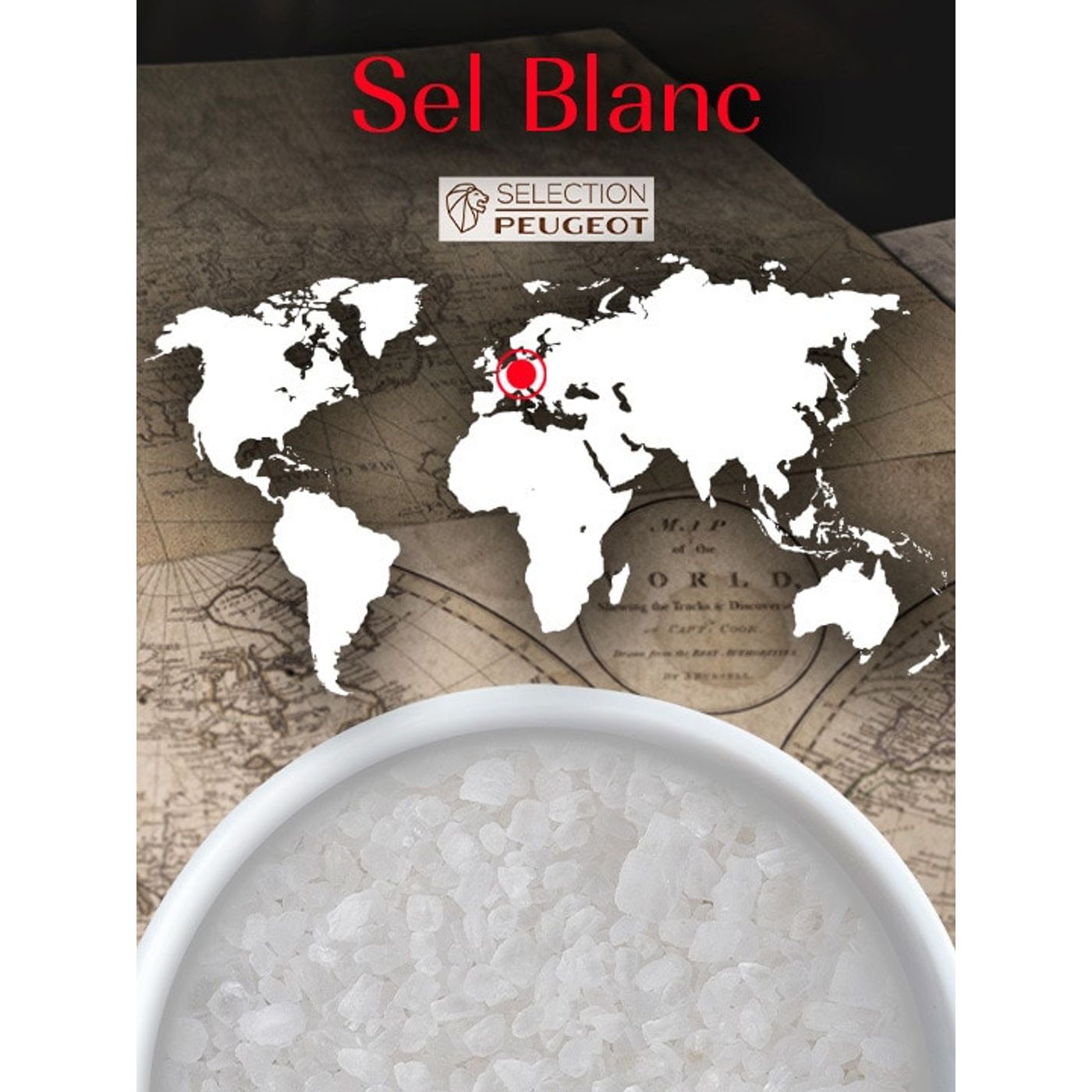 7 sachets fraîcheur de gros sel blanc d'Allemagne