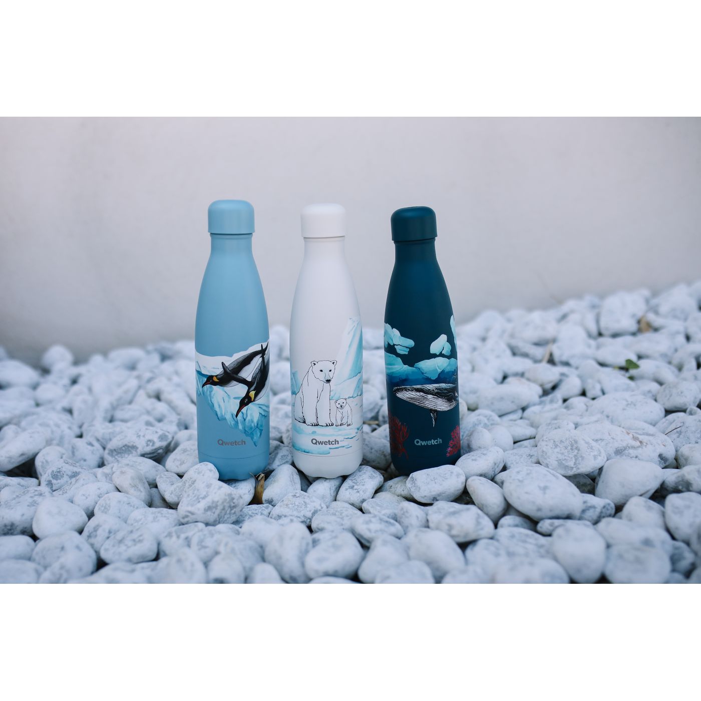 Bouteille isotherme banquise ours 500 ml