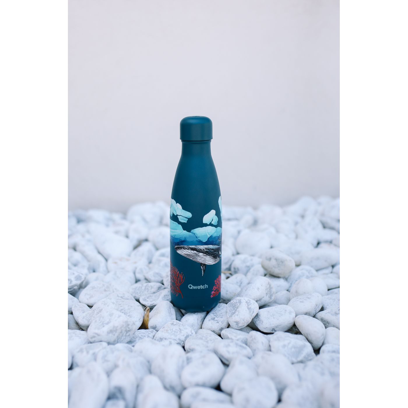 Bouteille isotherme banquise baleine 500 ml