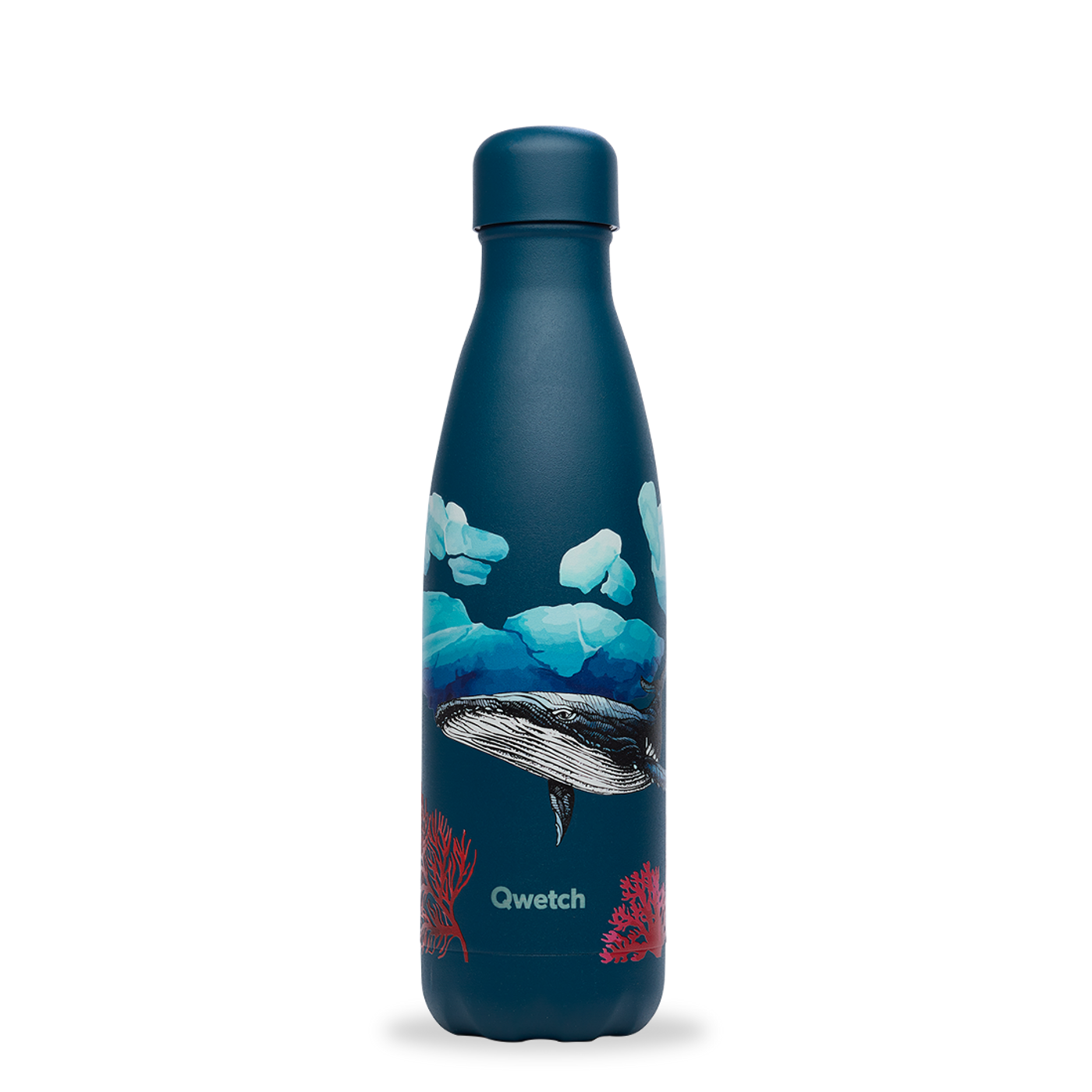 Bouteille isotherme banquise baleine 500 ml