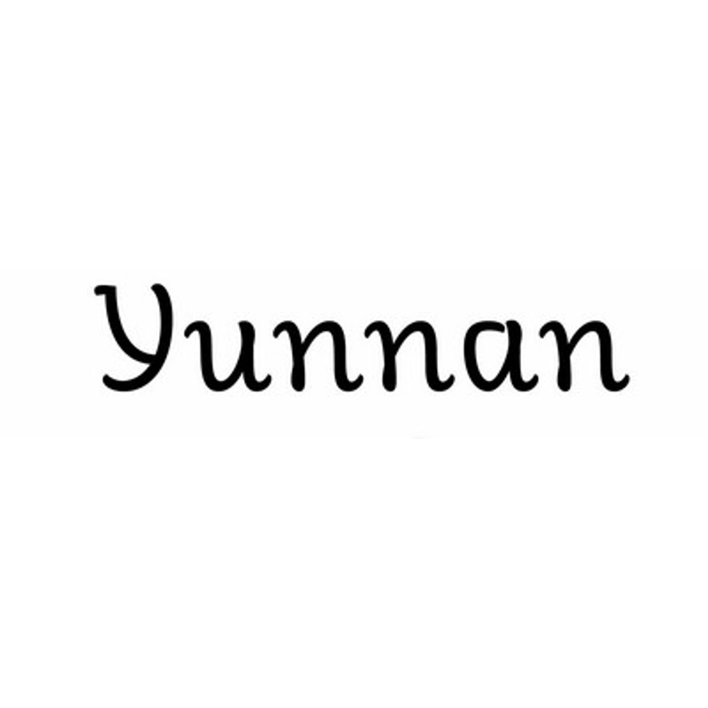 Théière électrique Yunnan 1,2 L