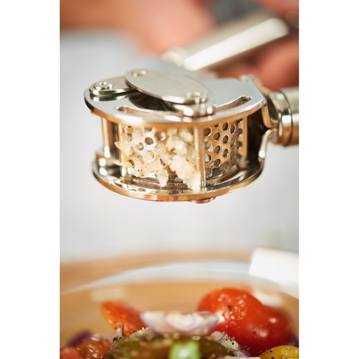 Presse-ail inox