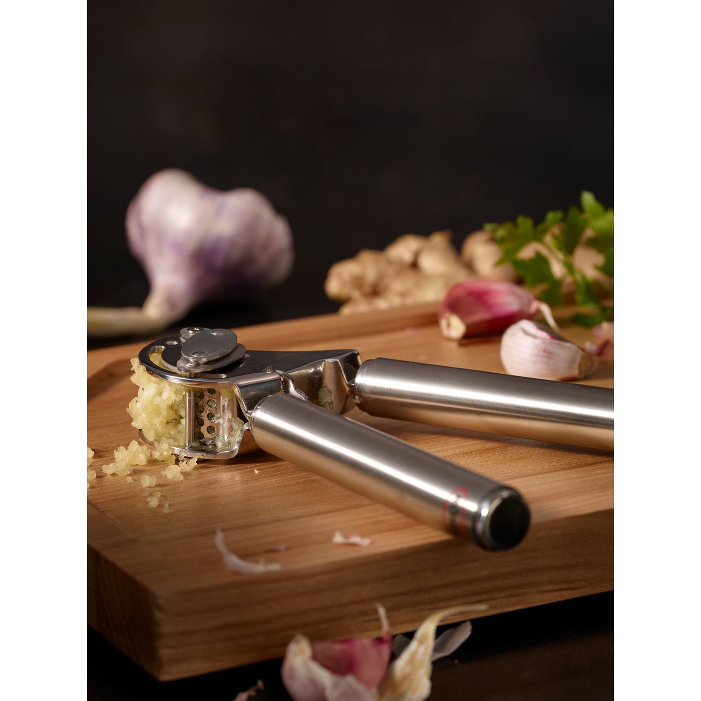 Presse-ail inox