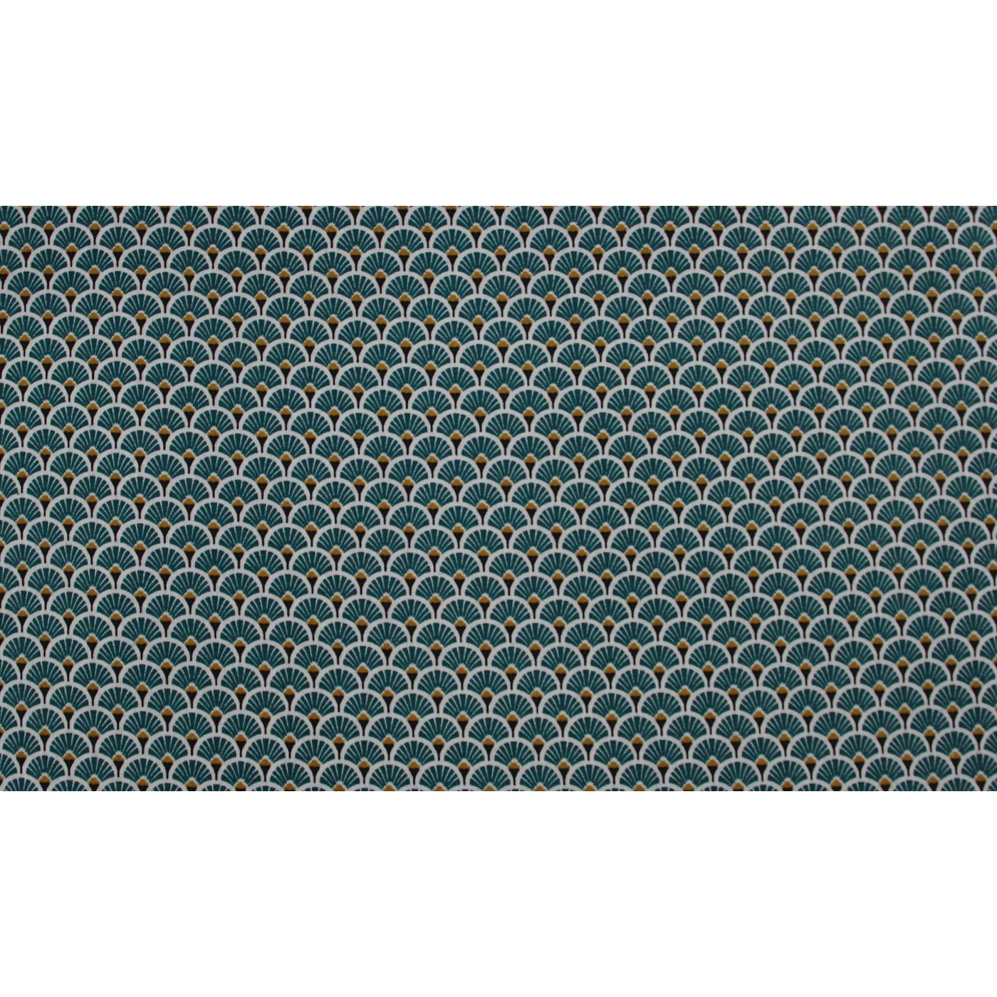 NAPPE EVENTAIL OCEAN
