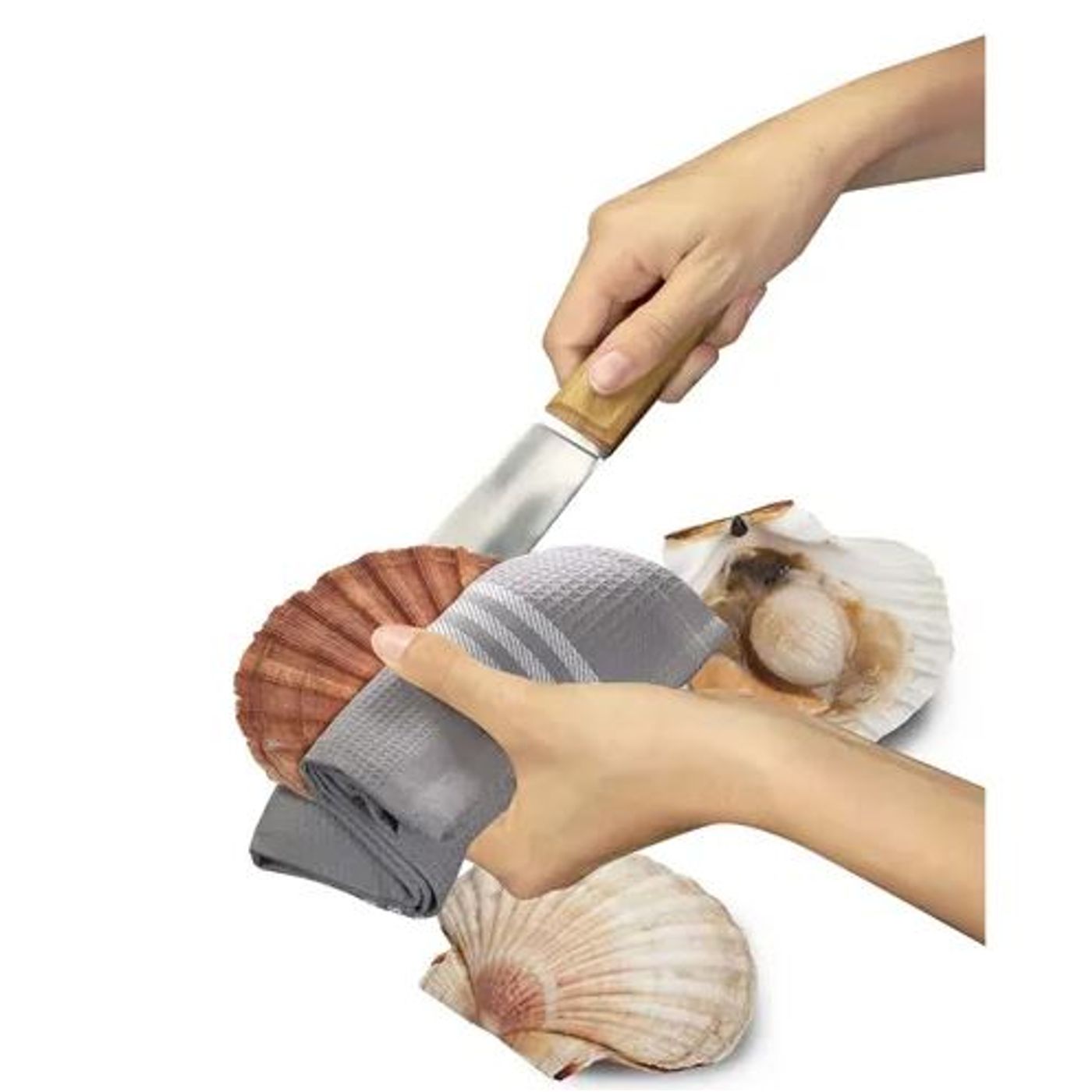 Couteau à coquilles Saint-Jacques