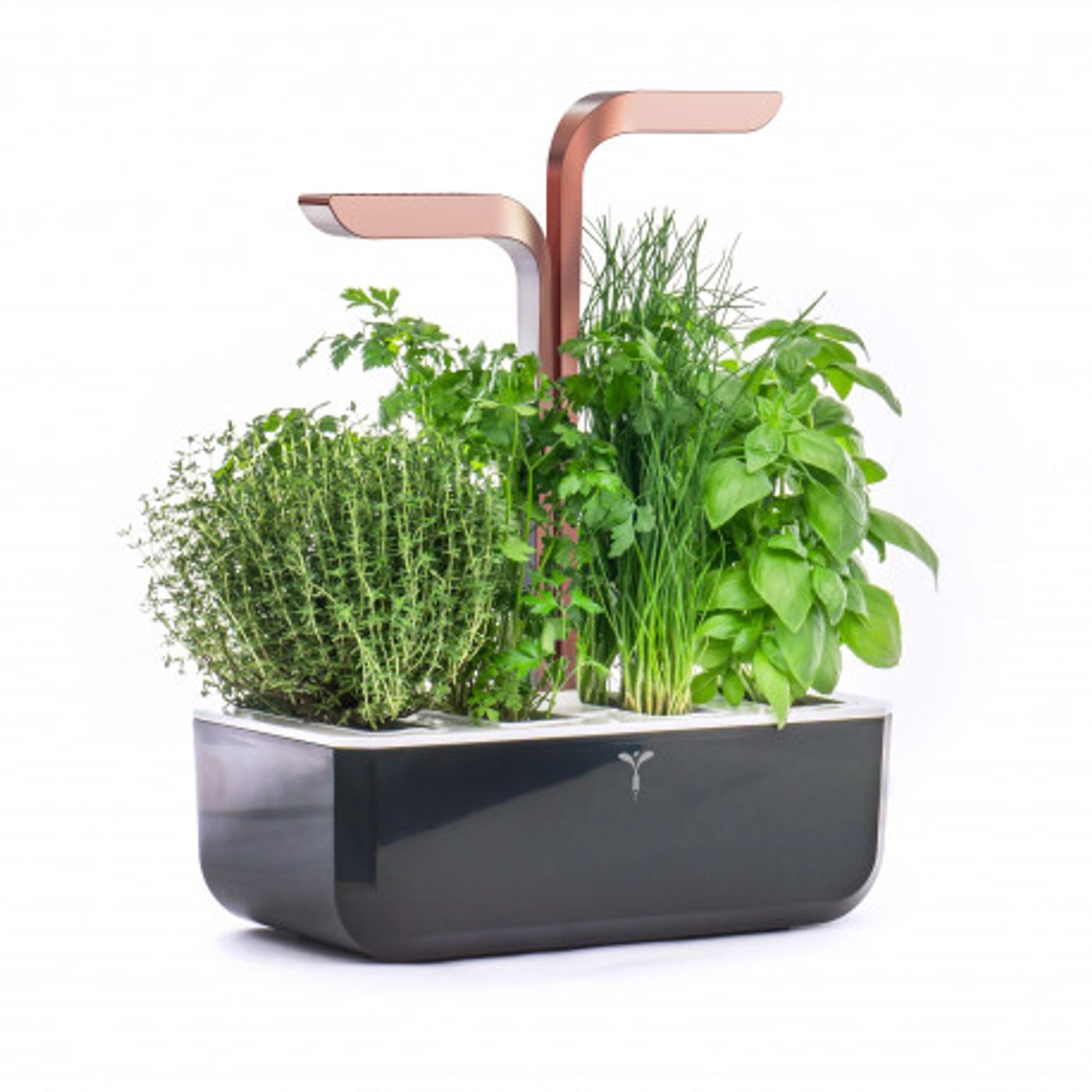 Potager D'intérieur Smart Connect