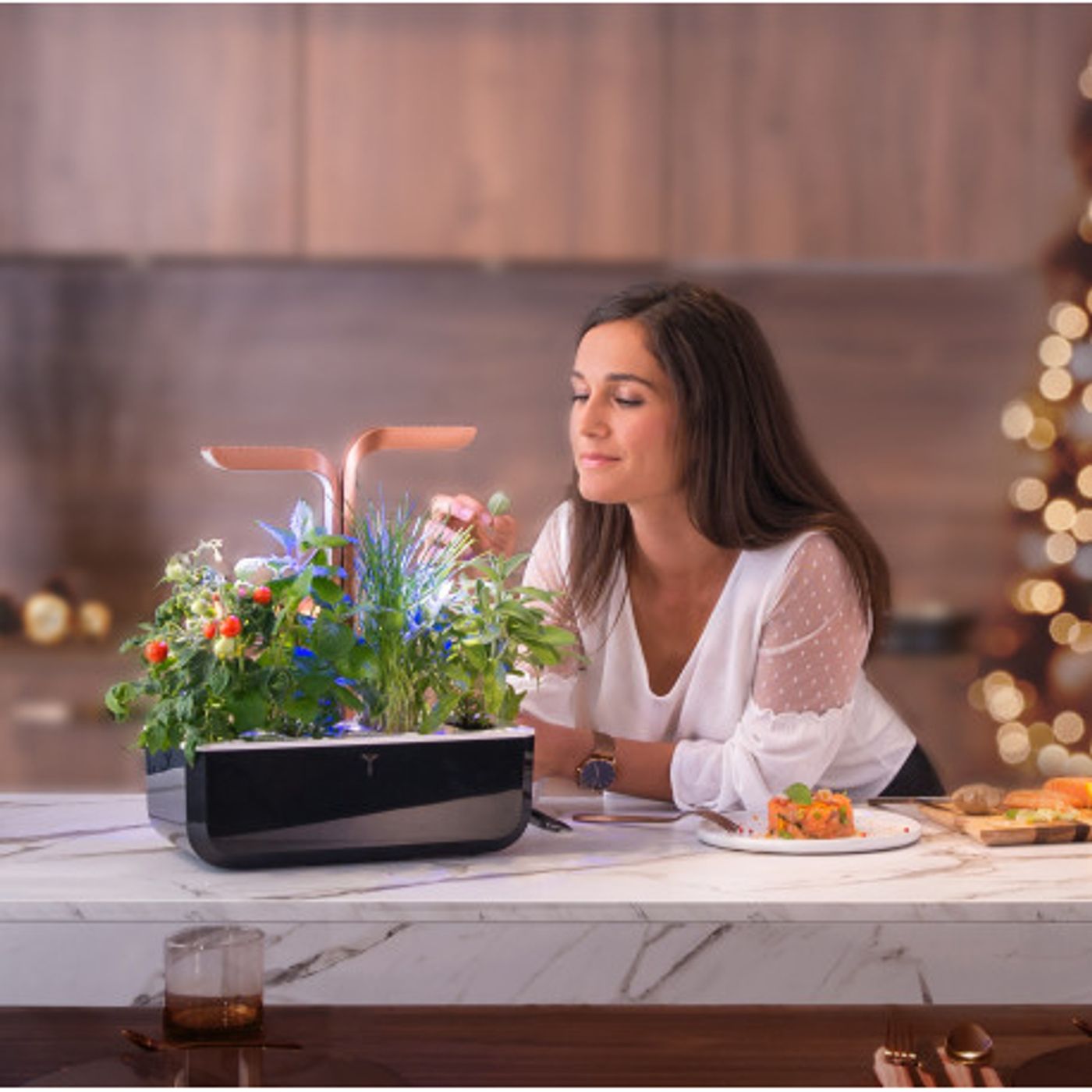 Potager D'intérieur Smart Connect