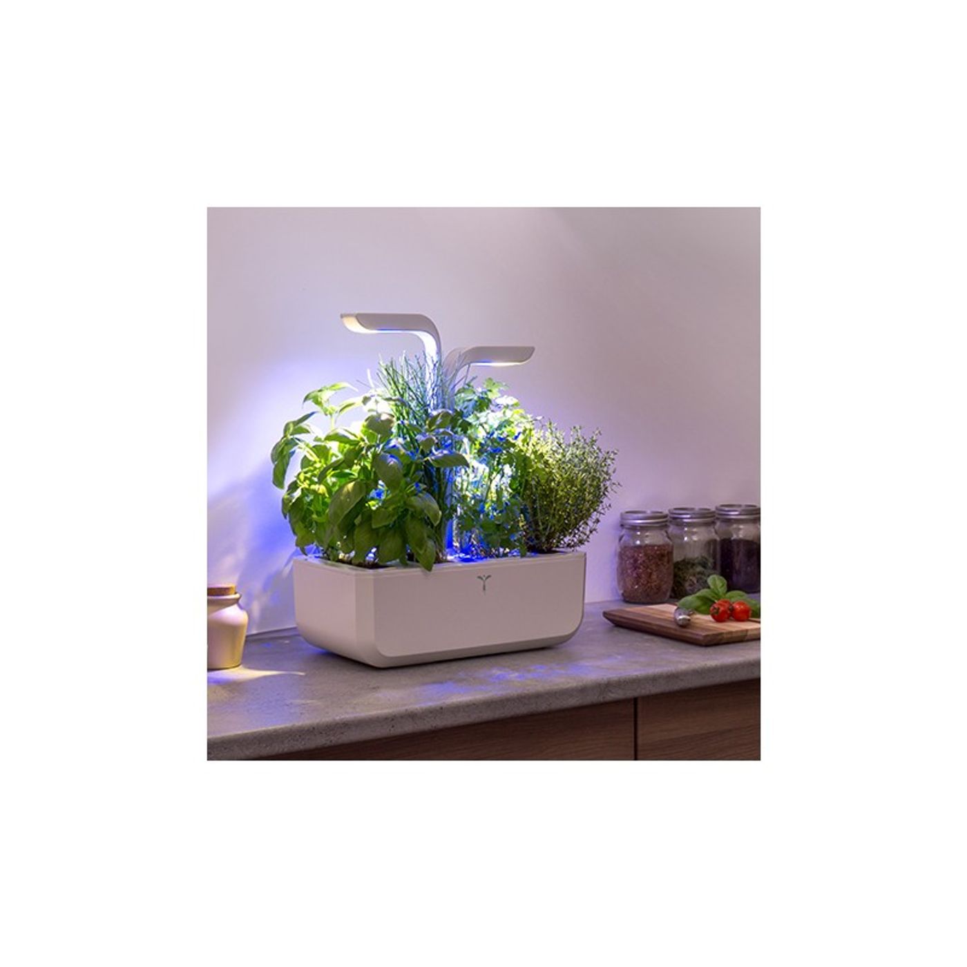 Potager d'intérieur Classic Blanc