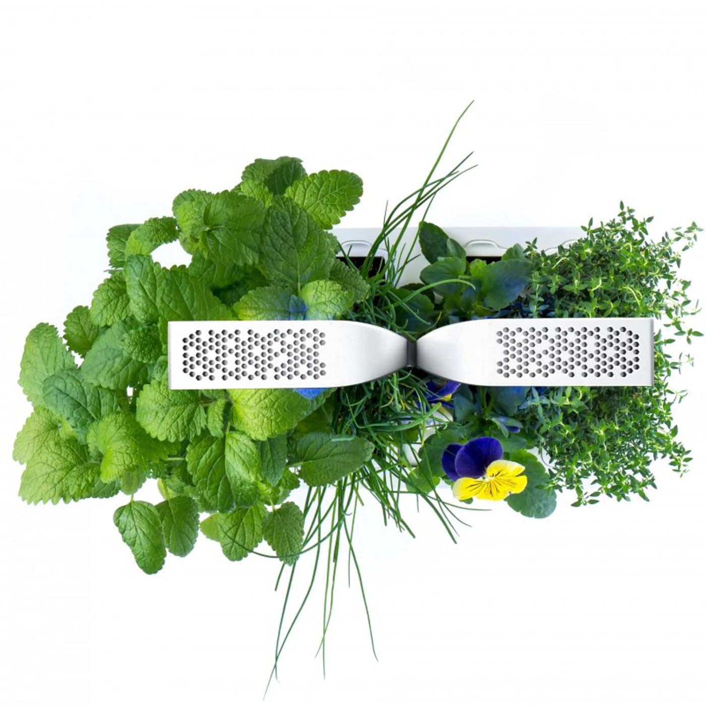 Potager d'intérieur Classic Blanc