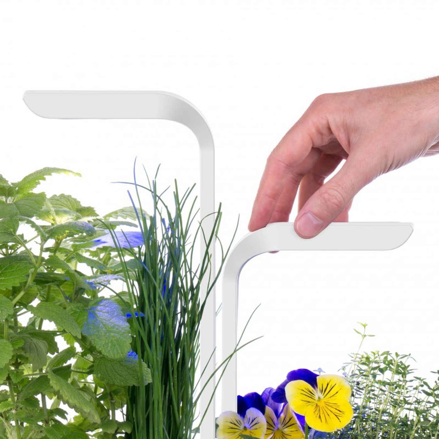 Potager d'intérieur Classic Blanc