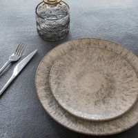ASSIETTE PLATE AKARIS 27 CM - Visuel 2