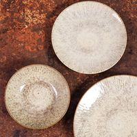 ASSIETTE PLATE AKARIS 27 CM - Visuel 1