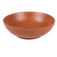 Saladier vesuvio terracotta 24 cm - Visuel 0