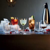 Verre à Gin Mixology 80 cl - Visuel 1