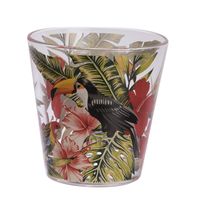 Verre Tropiques 25 cl - Visuel 0