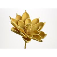 Fleur Ania moutarde - Visuel 1