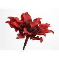 Fleur Cumbia rouge - Visuel 0