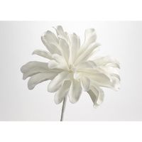 FLEUR PLANA 83 CM BLANCHE - Visuel 1
