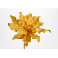 Fleur Cumbia jaune - Visuel 0