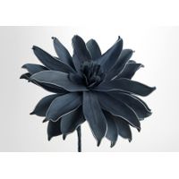 Fleur Pana bleue - Visuel 0