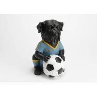 Chien footballeur - Visuel 0