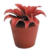 Cumbia en pot terracotta - Visuel 0