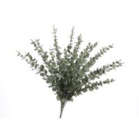 Bouquet eucalyptus vert - Visuel 0