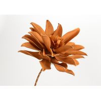 Fleur pana noisette - Visuel 0