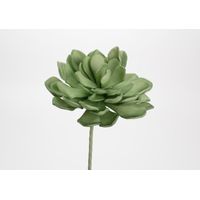 Fleur gina verte - Visuel 0