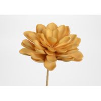 Fleur gina miel - Visuel 0