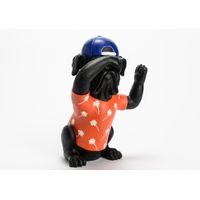 Chien je ne vois rien - Visuel 0