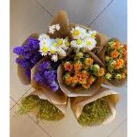 Fleurs séchées vertes - Visuel 0
