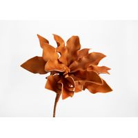 Fleur Cumbia orange foncé - Visuel 0