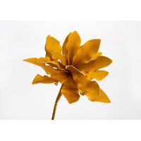 Fleur Cumbia jaune safran - Visuel 0