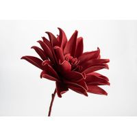Fleur Pana rouge cerise - Visuel 0