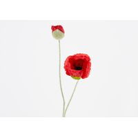 Coquelicot Flora Rouge - Visuel 0