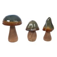 Champignon refuge - Visuel 1