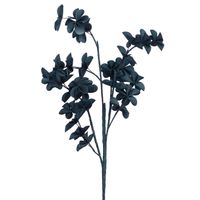 Fleur Alma bleue - Visuel 0