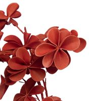 Fleur en eva Alma Brique - Visuel 1