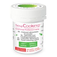 Colorant alimentaire en poudre vert 5g - Visuel 0